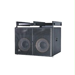 R12 雙12英寸低頻線(xiàn)性陣列揚(yáng)聲器系統(tǒng)