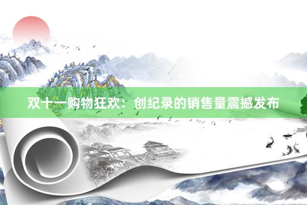 双十一购物狂欢：创纪录的销售量震撼发布